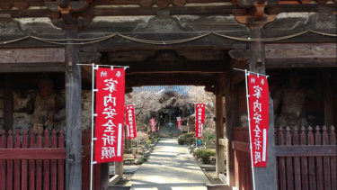 散骨の新しいカタチ・お参りのできる珠花散骨とは？