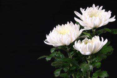 散骨が敬遠されがちな理由とは？正しい知識を知ってトラブルを防ごう